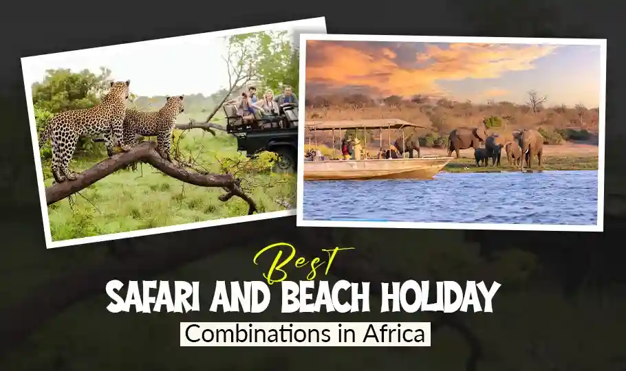 Best Safari and Beach Holiday Combinations in Africa