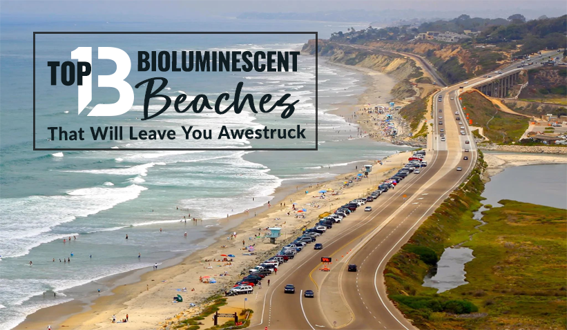 Top 13 Bioluminescent Beaches That Will Leave You Awestruck 