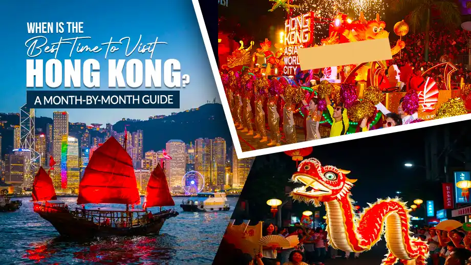 When Is the Best Time to Visit Hong Kong? A Month-by-Month Guide