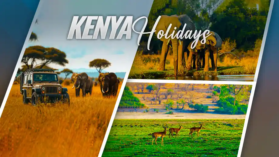 Best Time to Visit Kenya: Month-by-Month Guide