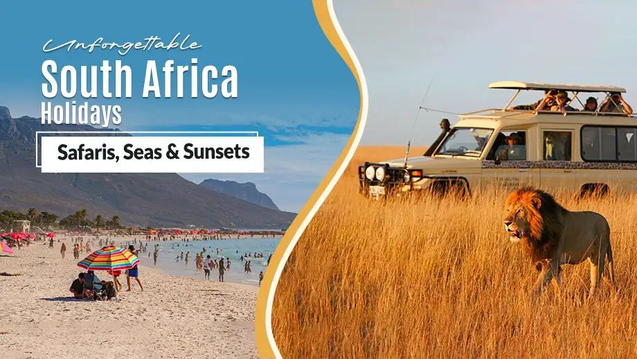 Unforgettable South Africa Holidays: Safaris, Seas & Sunsets