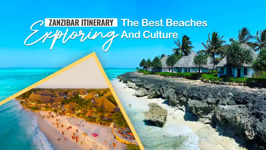Zanzibar Itinerary: Exploring The Best Beaches And Culture