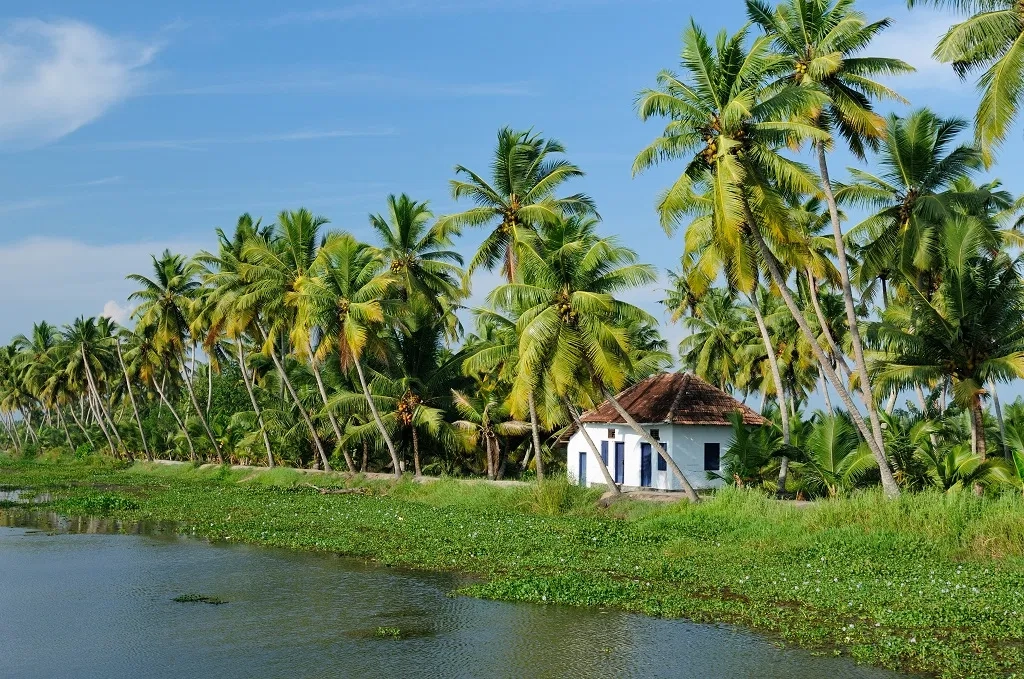 12 NIGHTS OF INDIA: ROYAL TIGERS, ANCIENT TEMPLES & KERALA HOUSEBOAT BACKWATERS — JUST £1,799pp!