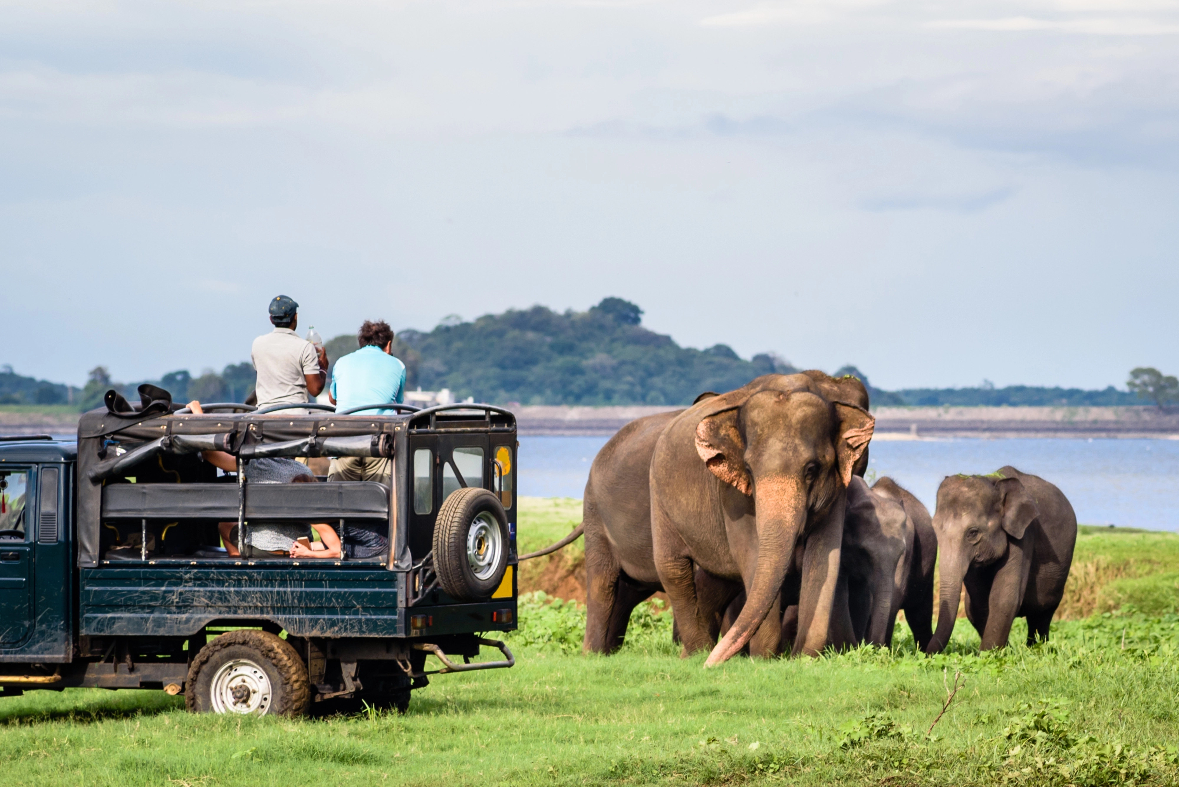 Enjoy the Exotic stay of Sri Lanka Safari and Maldives - All Inclusive