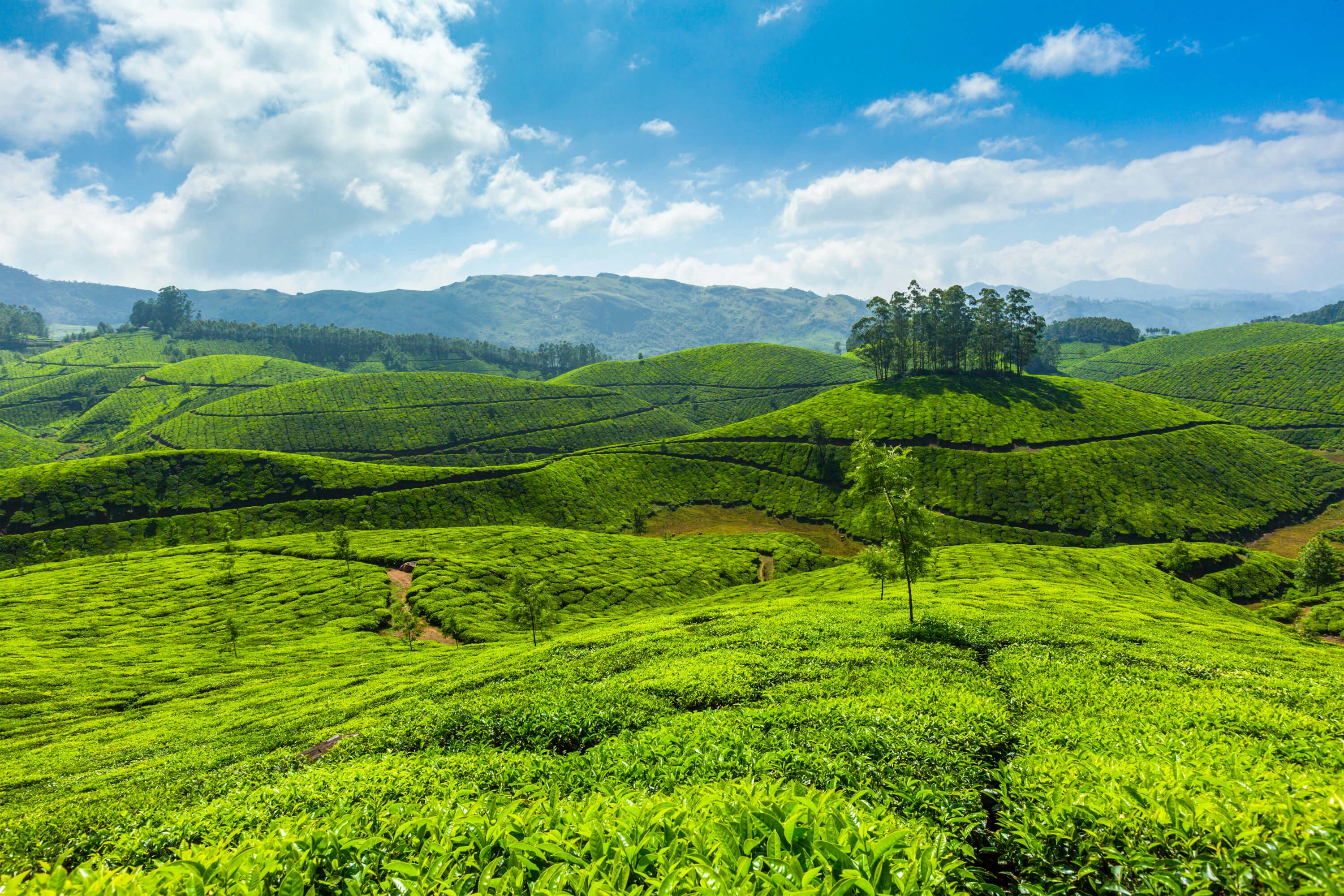 11 Days / 10 Nights Kerala Houseboat & Ayurveda Rejuvenation From Only £2299pp – September 2026 Departures