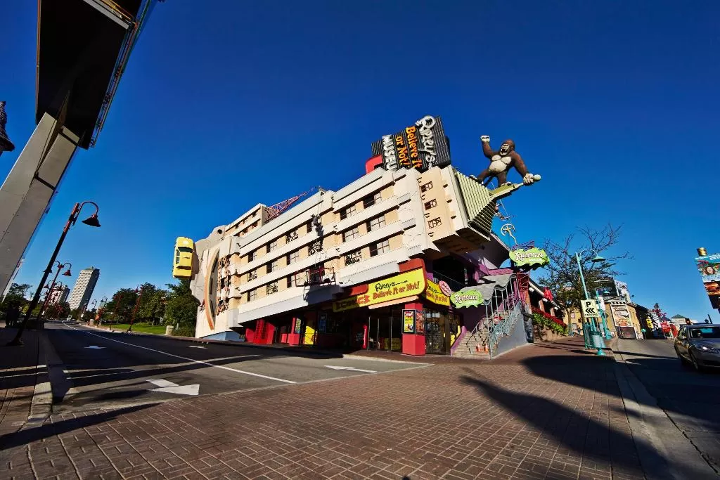 3 in One || NEW YORK || NIAGARA FALLS || REYKJAVIK ||