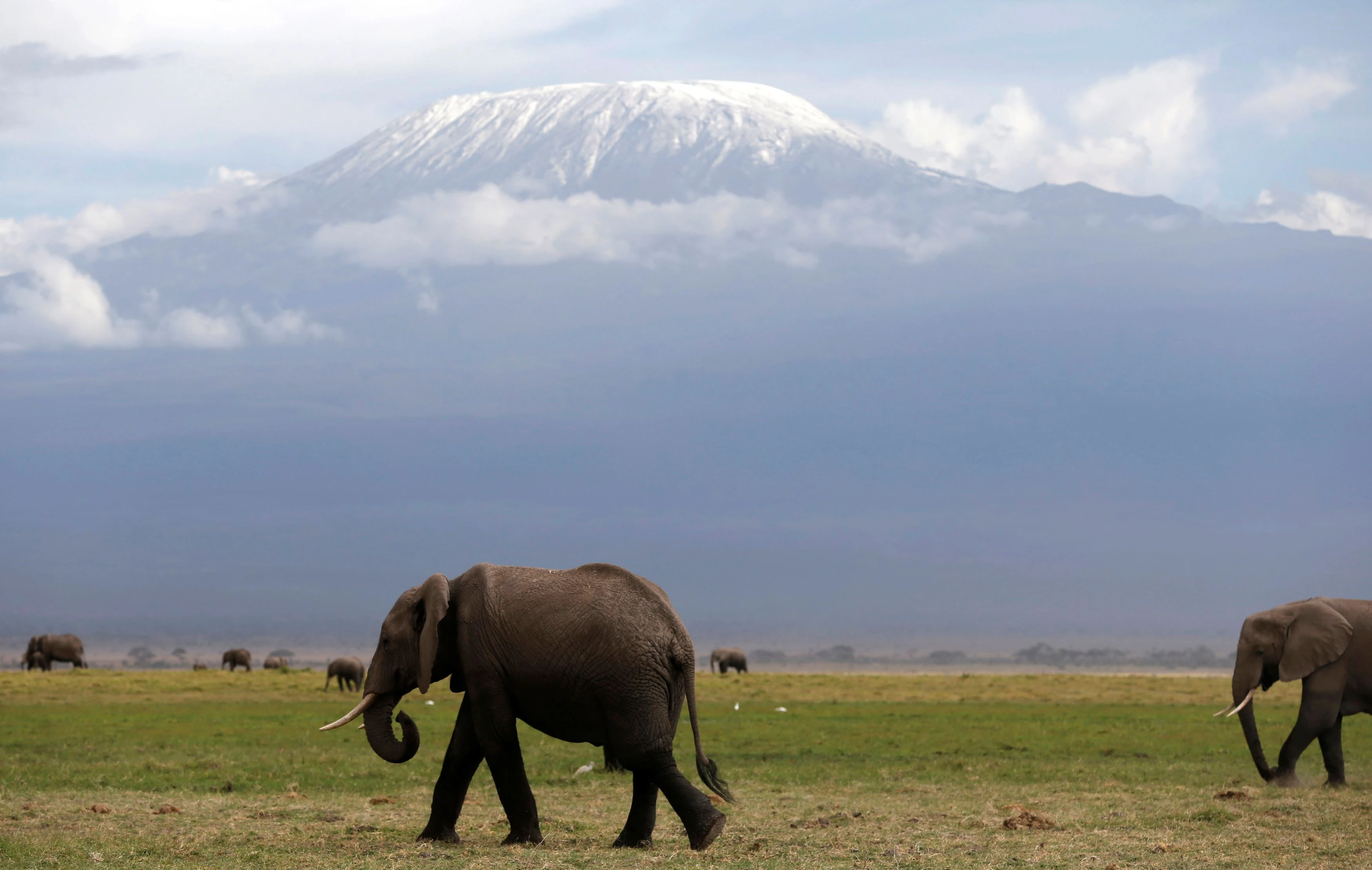 CLASSIC EAST AFRICA SAFARI – THE ULTIMATE LIFETIME JOURNEY From £3,499 pp