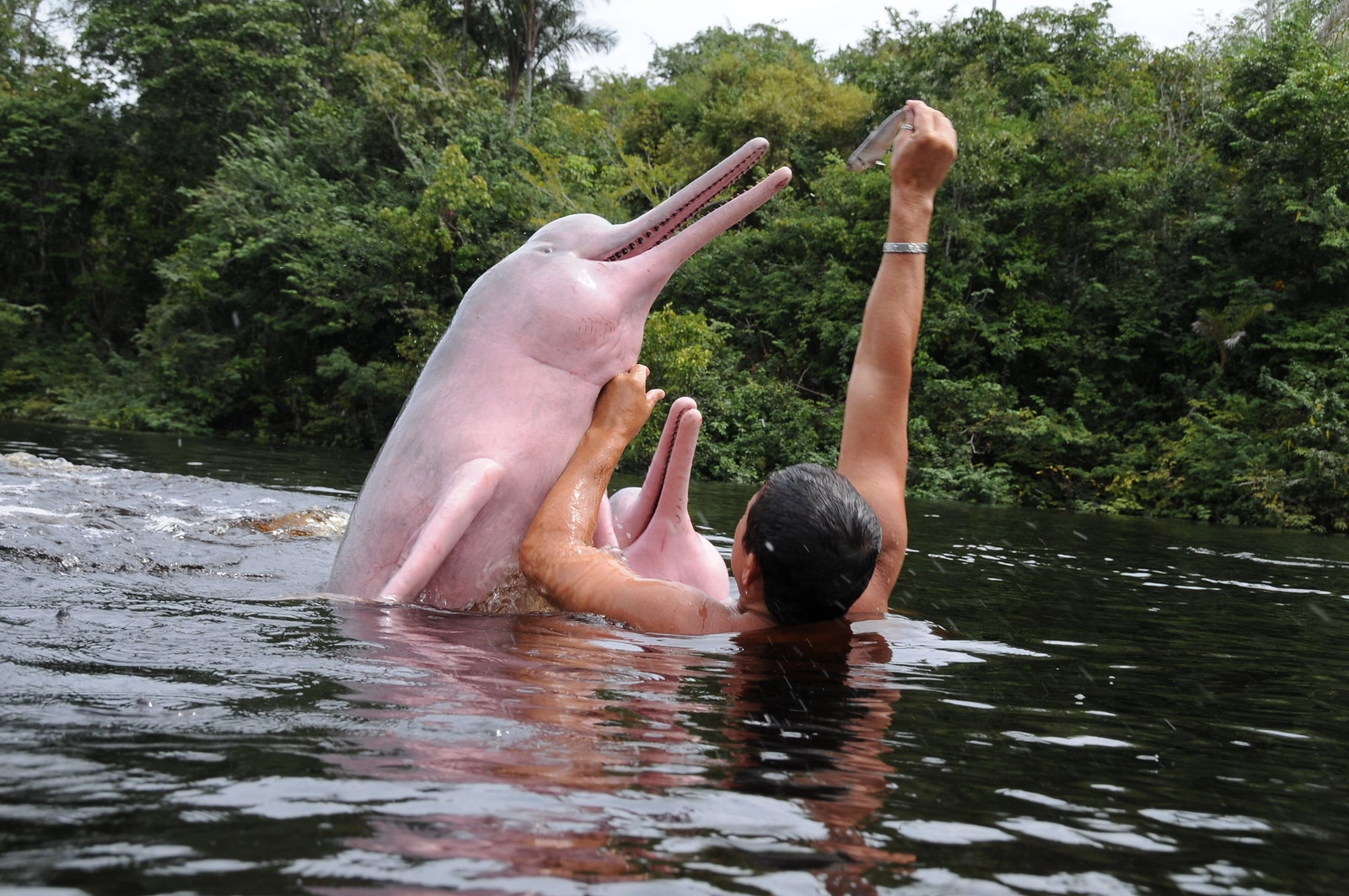 15 Nights in Thailand from Just £1,699pp Meet the Elephants, Discover the Pink Dolphins & Explore Hidden Thailand