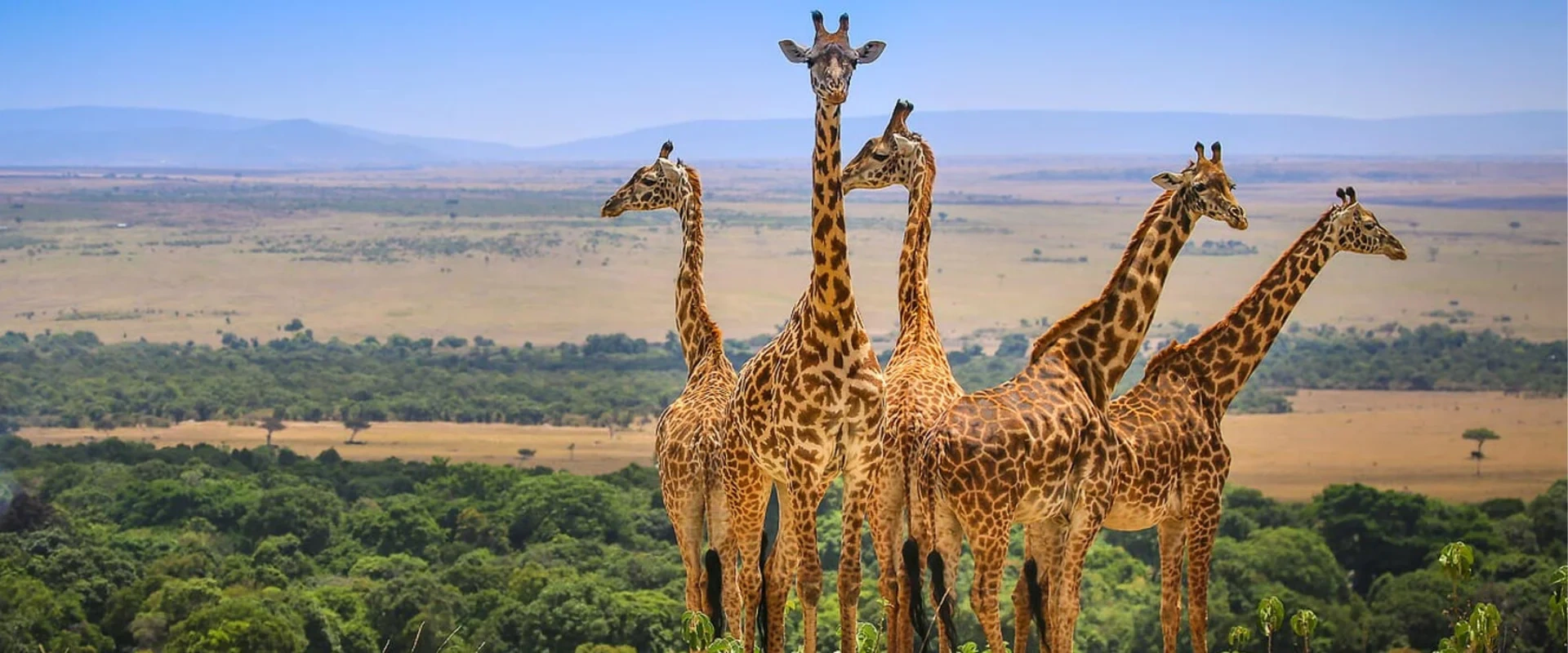 CLASSIC EAST AFRICA SAFARI – THE ULTIMATE LIFETIME JOURNEY From £3,499 pp