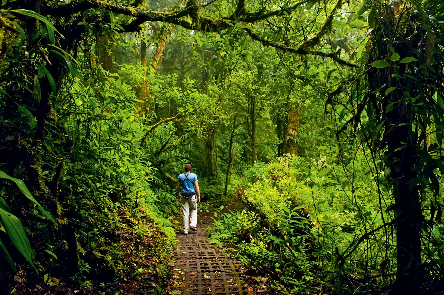 14 NIGHTS OF NIGHTS OF ULTIMATE COSTA RICA ADVENTURE &  ALL-INCLUSIVE CARIBBEAN LUXURY ONLY £2,199PP