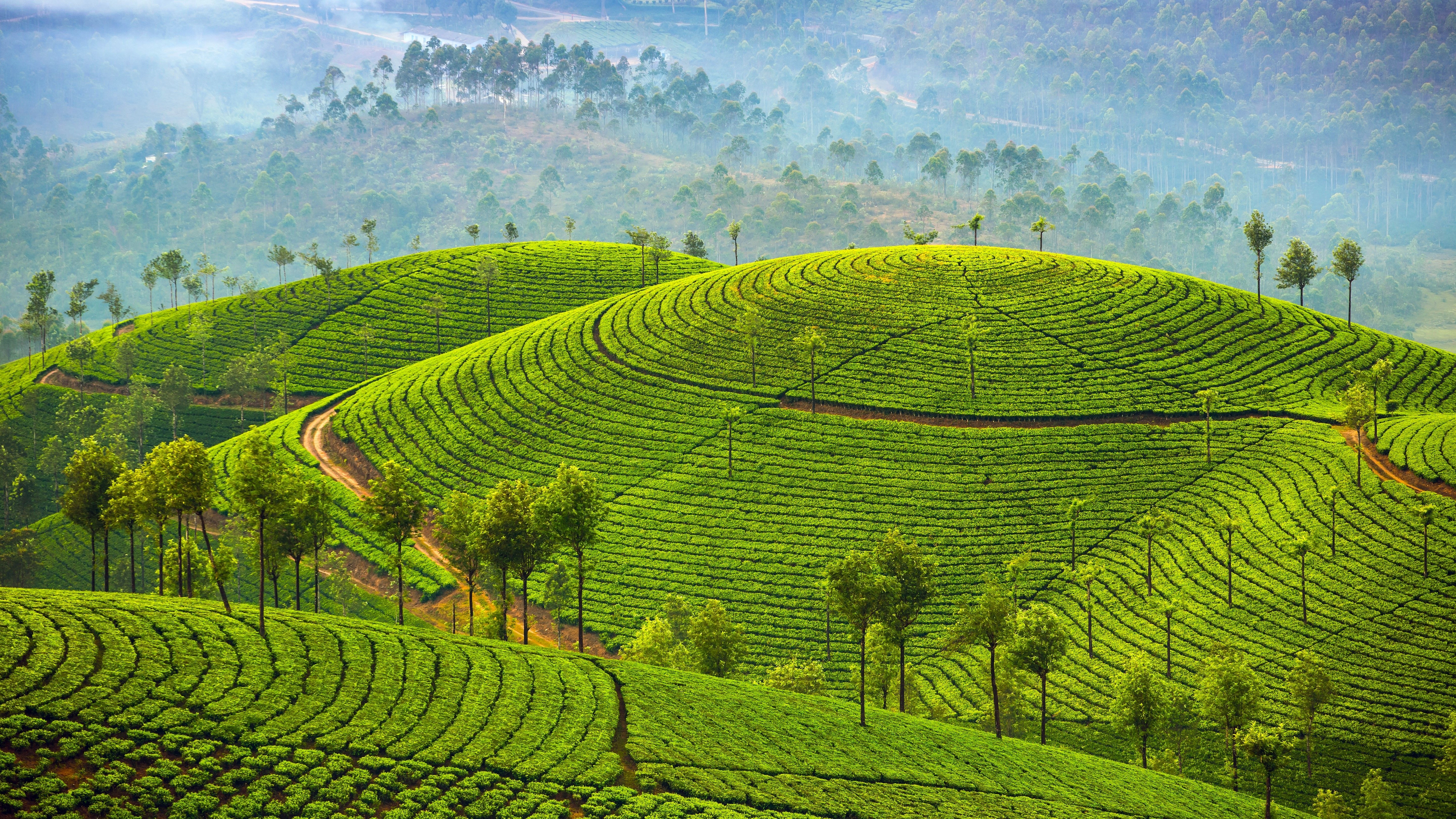 11 Days / 10 Nights Kerala Houseboat & Ayurveda Rejuvenation From Only £2299pp – September 2026 Departures