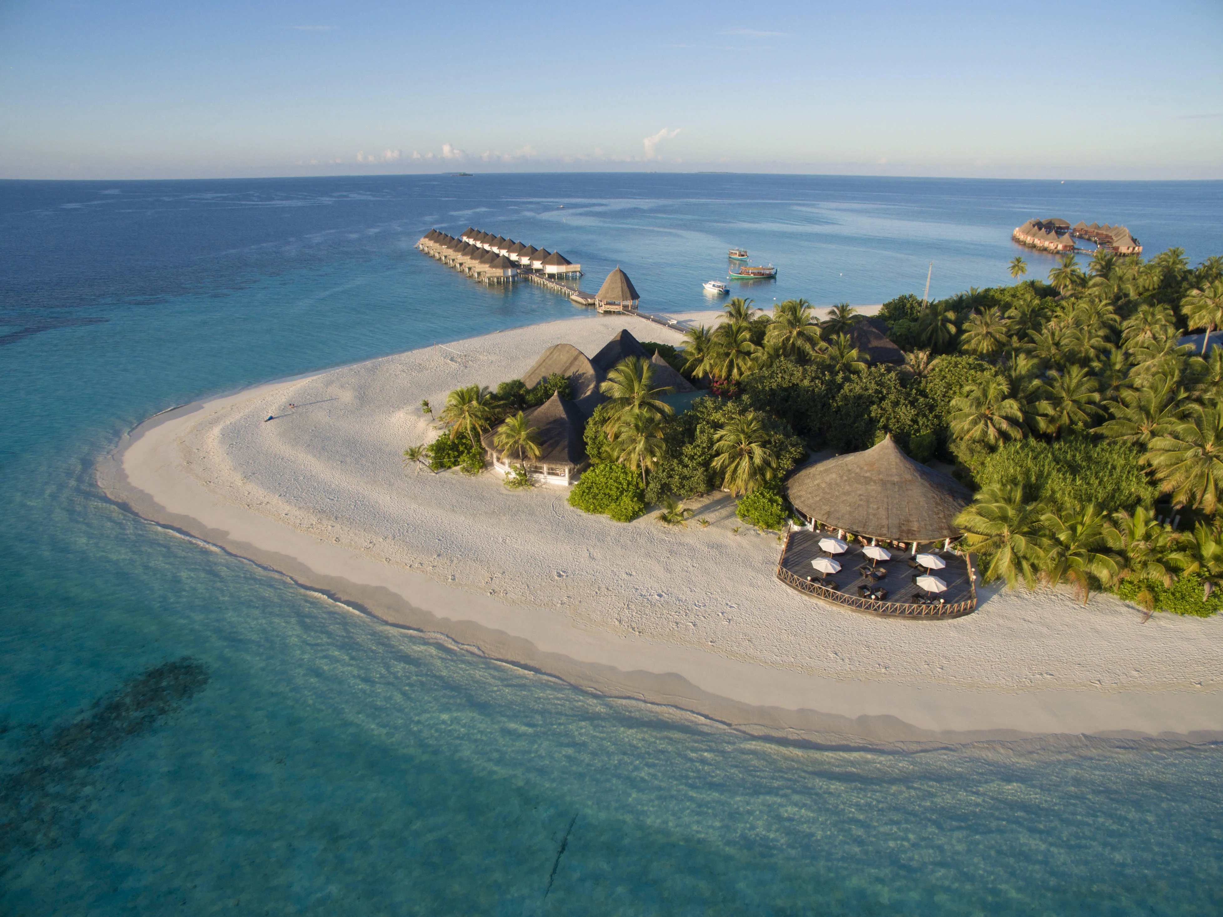 Summer Super Saver Deal