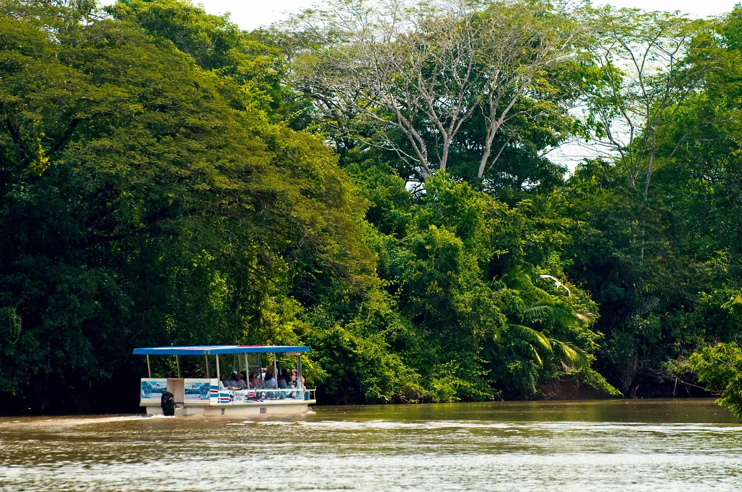 14 NIGHTS OF NIGHTS OF ULTIMATE COSTA RICA ADVENTURE &  ALL-INCLUSIVE CARIBBEAN LUXURY ONLY £2,199PP