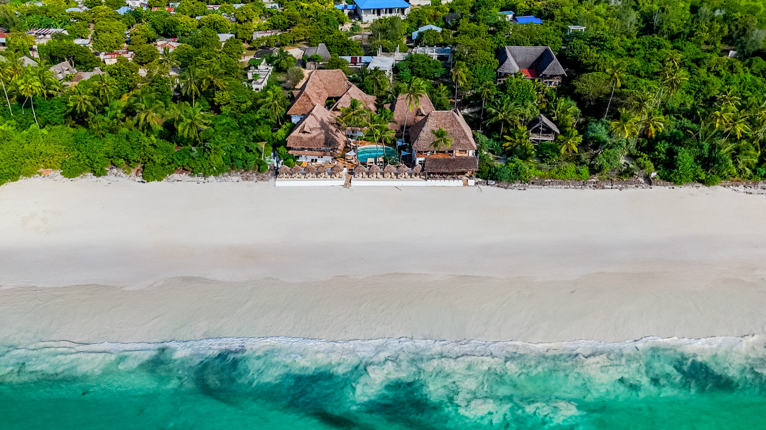 Tanzania Safari + Zanzibar Escape – 12 Days of Wild Luxury the perfect blend of adventure, relaxation & affordable luxury — all for £2499pp