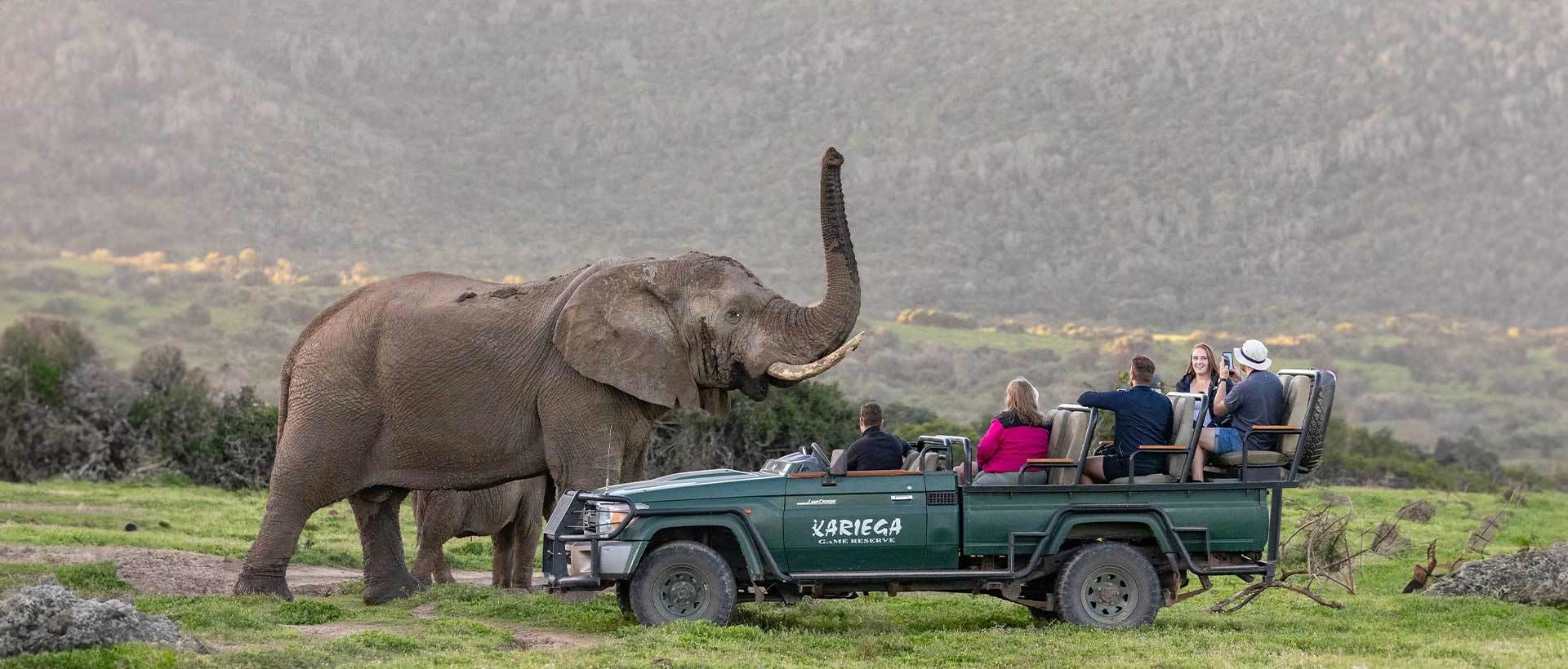 12 NIGHTS | BIG 5 SAFARI, GARDEN ROUTE & CAPE TOWN From just £2,699pp