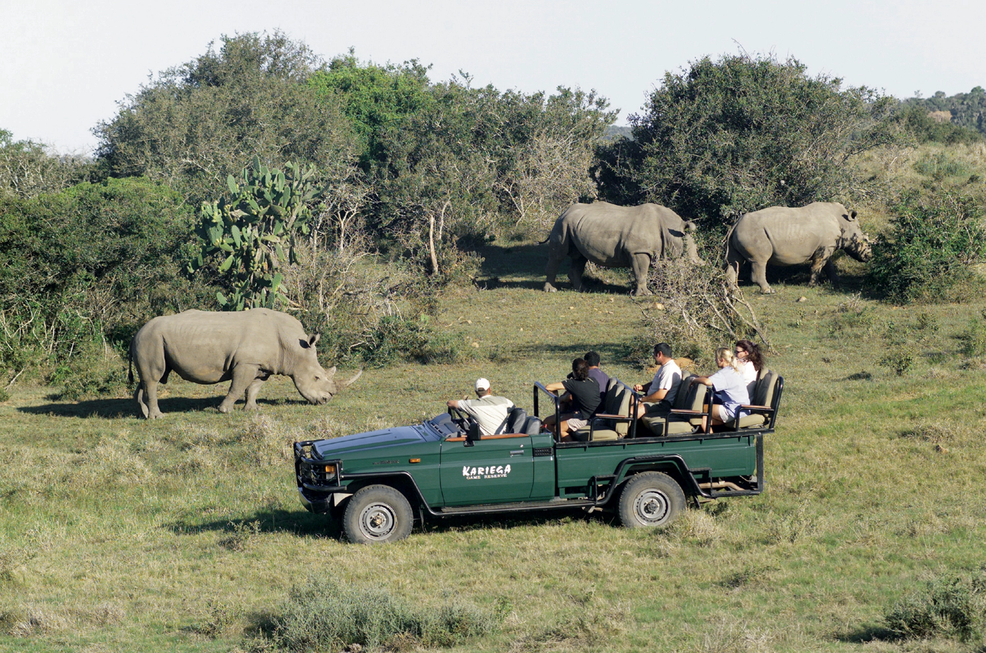 12 NIGHTS | BIG 5 SAFARI, GARDEN ROUTE & CAPE TOWN From just £2,699pp