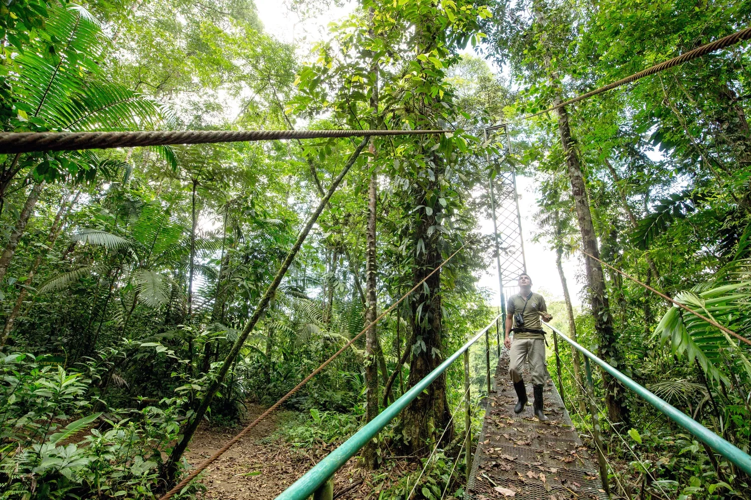 14 NIGHTS OF NIGHTS OF ULTIMATE COSTA RICA ADVENTURE &  ALL-INCLUSIVE CARIBBEAN LUXURY ONLY £2,199PP