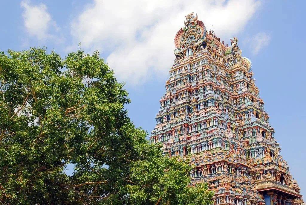 12 NIGHTS OF INDIA: ROYAL TIGERS, ANCIENT TEMPLES & KERALA HOUSEBOAT BACKWATERS — JUST £1,799pp!