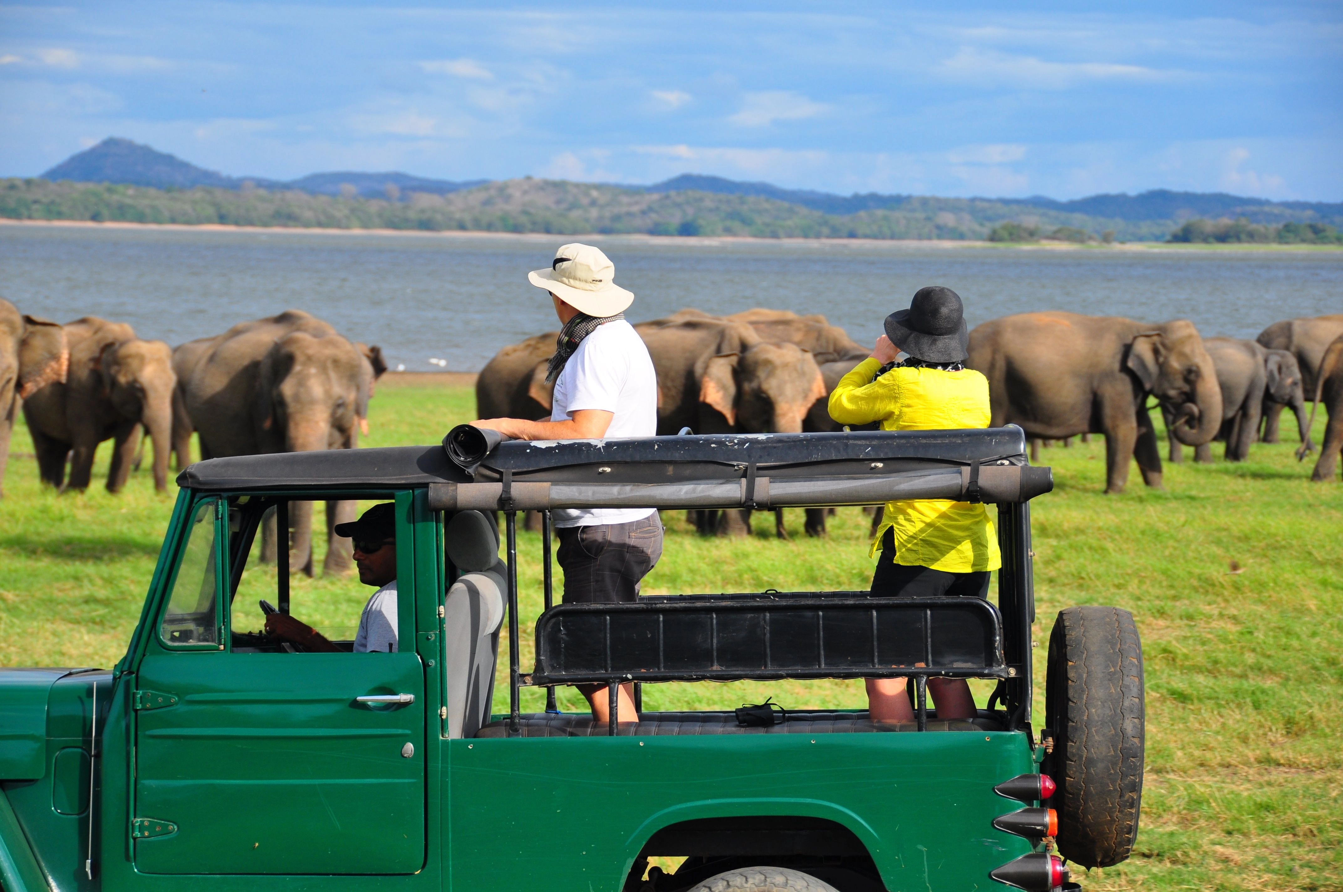 14 NIGHTS WILDLIFE, LEOPARDS, ELEPHANTS + 10 NIGHTS RIU LUXURY BEACHFRONT FROM £1,999PP | DIRECT FLIGHTS FROM £2,599PP