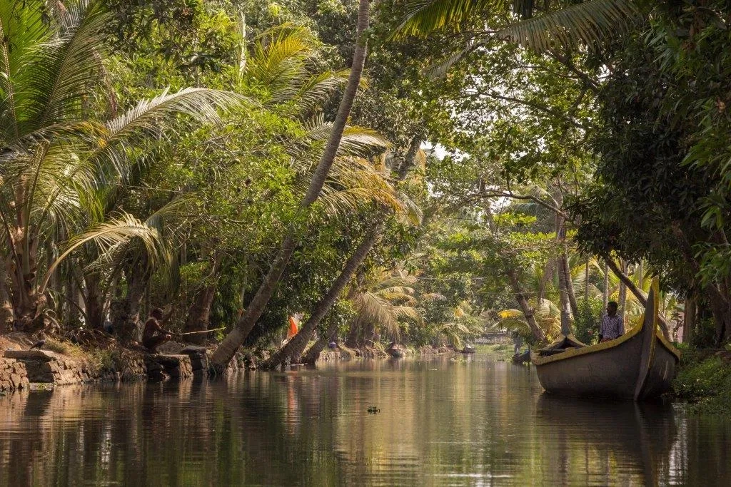 12 NIGHTS OF INDIA: ROYAL TIGERS, ANCIENT TEMPLES & KERALA HOUSEBOAT BACKWATERS — JUST £1,799pp!
