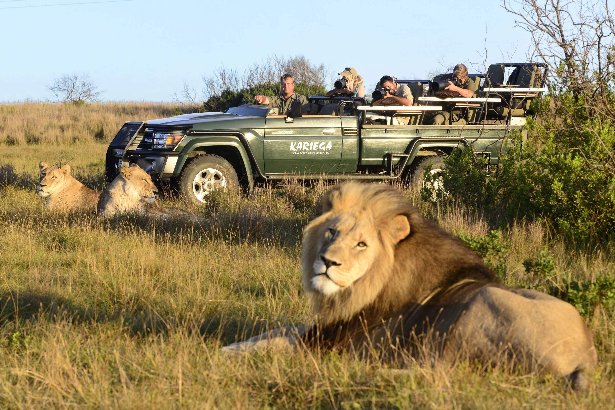 12 NIGHTS | BIG 5 SAFARI, GARDEN ROUTE & CAPE TOWN From just £2,699pp