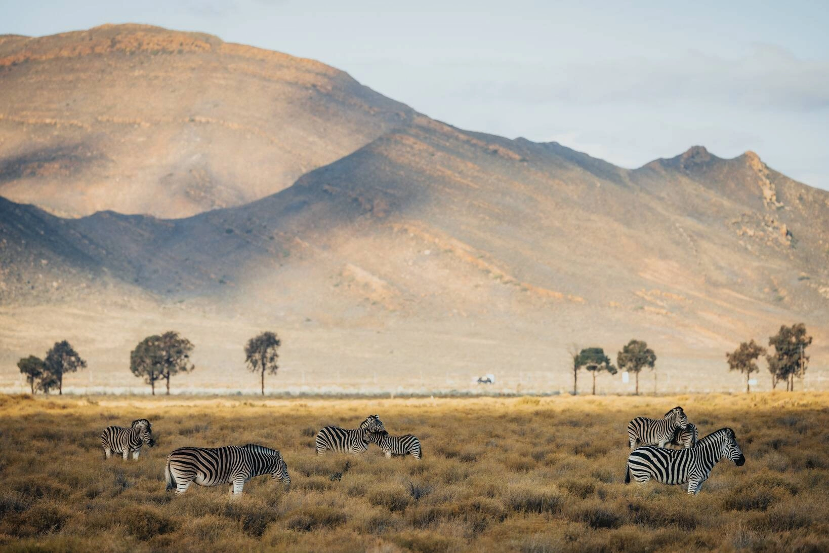 WESTERN CAPE BIG 5 SAFARI + ZANZIBAR! 12 NIGHTS — MAY 2027 — £2,499PP