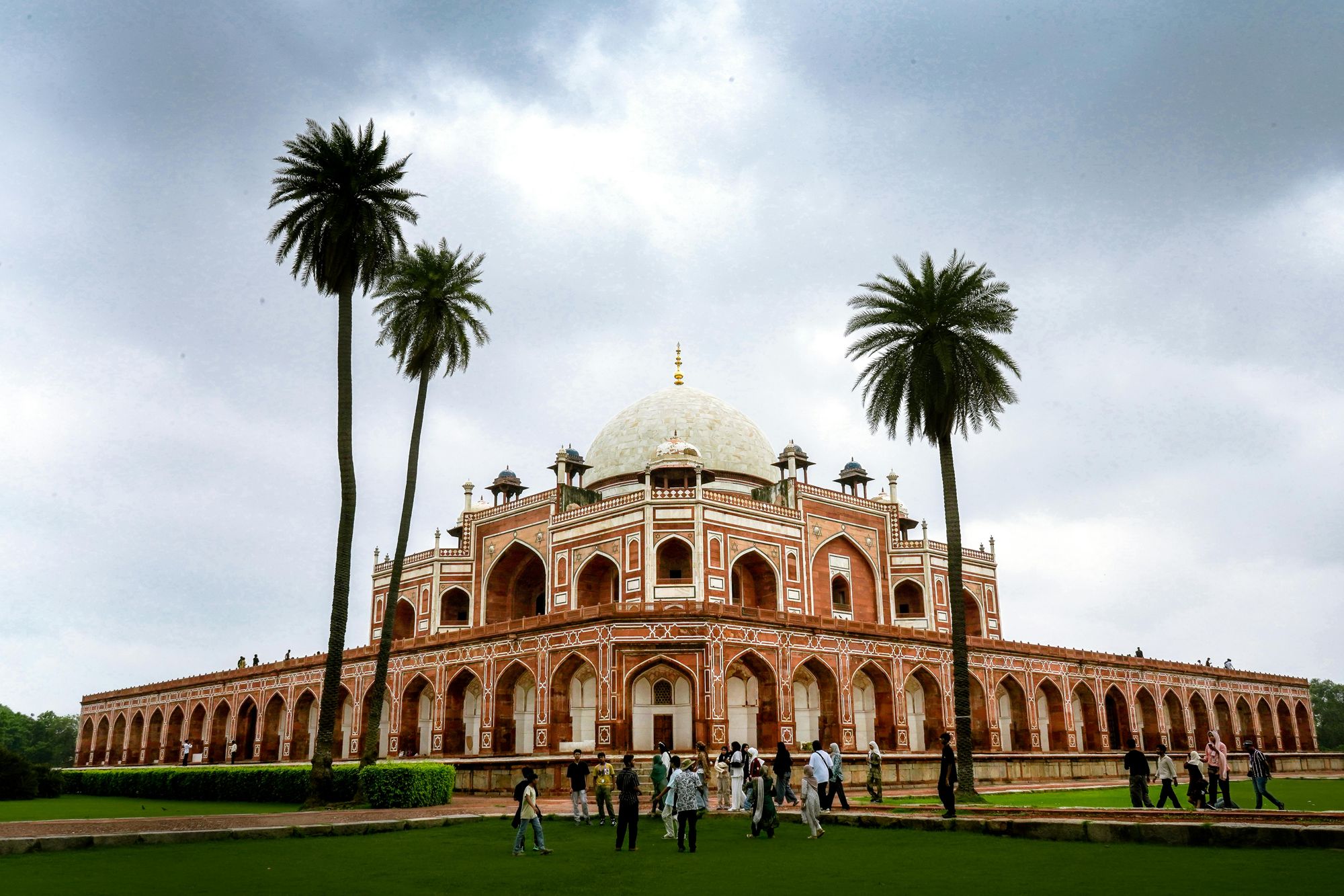 Special Black Friday Sale 08 nights’ Taj and Tiger Tour Expedition