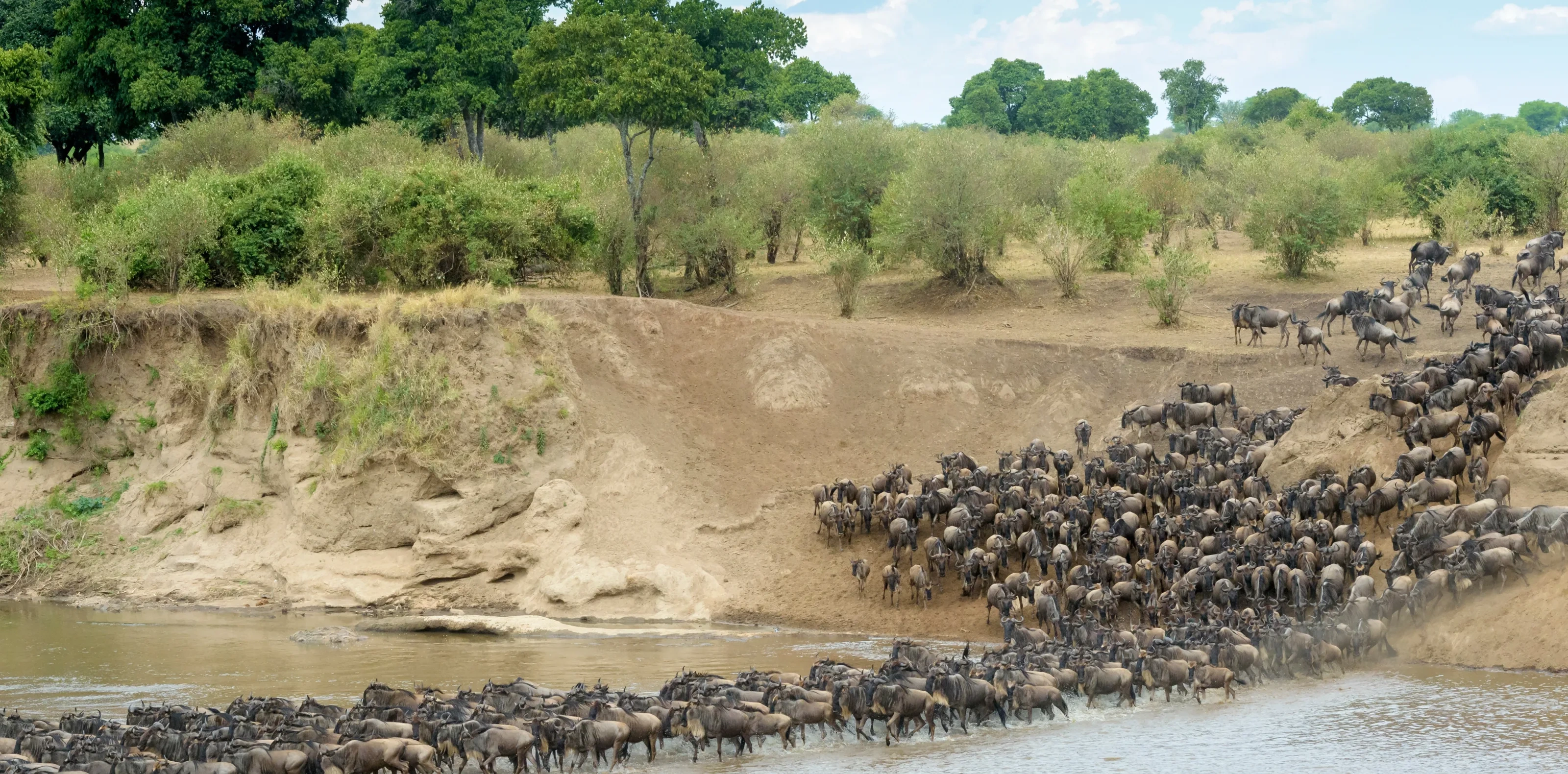 CLASSIC EAST AFRICA SAFARI – THE ULTIMATE LIFETIME JOURNEY From £3,499 pp