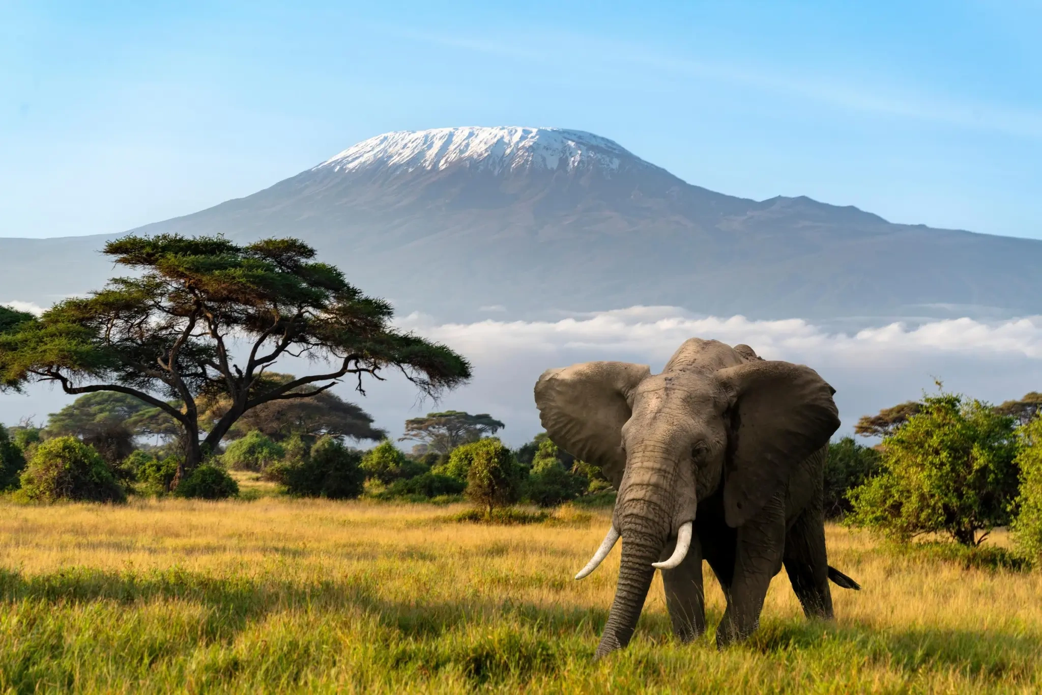 CLASSIC EAST AFRICA SAFARI – THE ULTIMATE LIFETIME JOURNEY From £3,499 pp