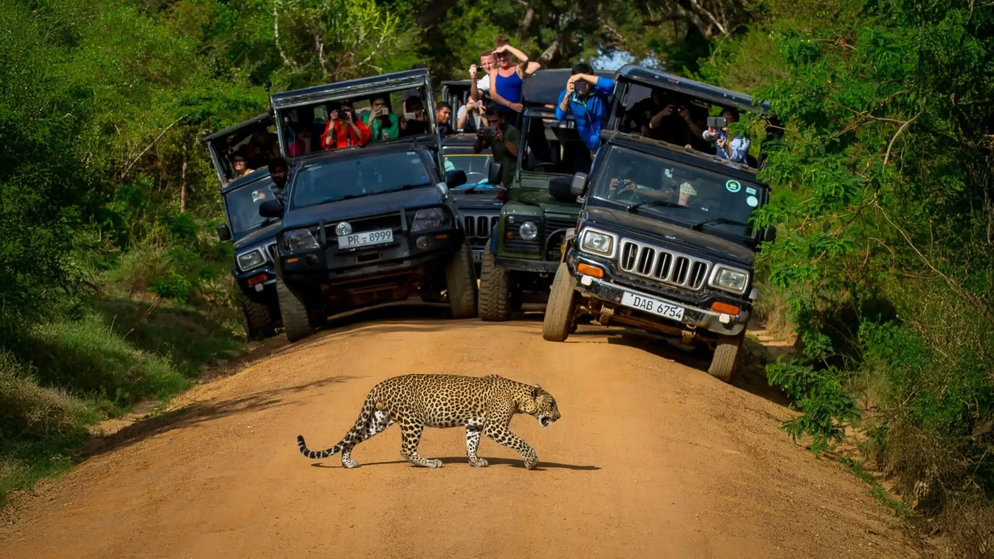 Enjoy the Exotic stay of Sri Lanka Safari and Maldives - All Inclusive