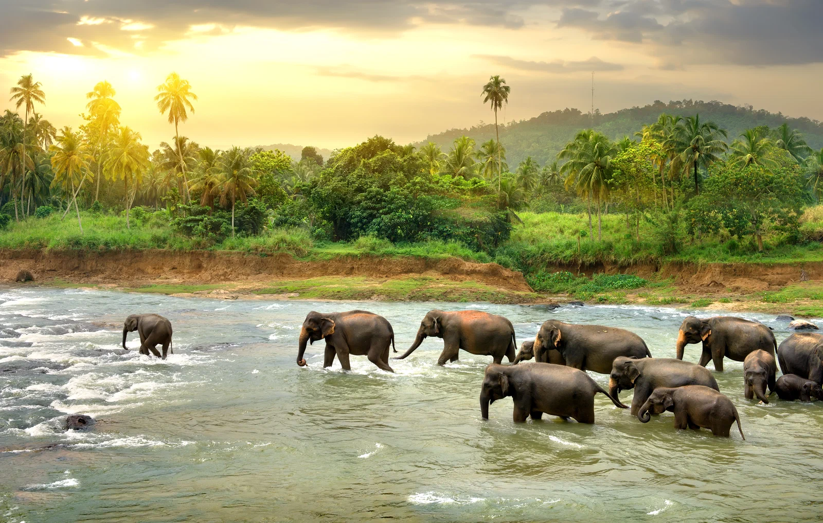 Discover Sri Lanka– 4 Nights at Shangri-La Hambantota + 6 Nights of Private Guided Adventure price starting from £1,749/pp