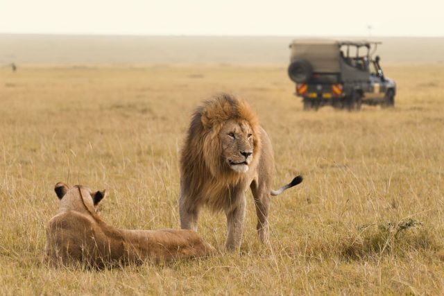 09 Nights Luxury Mara Flyin Safari with Atlantis the Palm w/flights and transfers