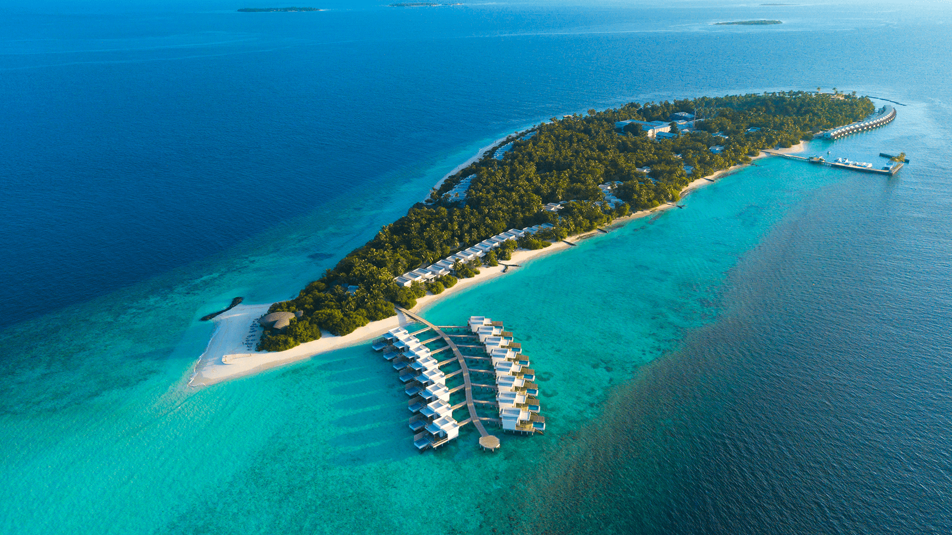 SPECIAL OFFER FOR MALDIVES & DUBAI