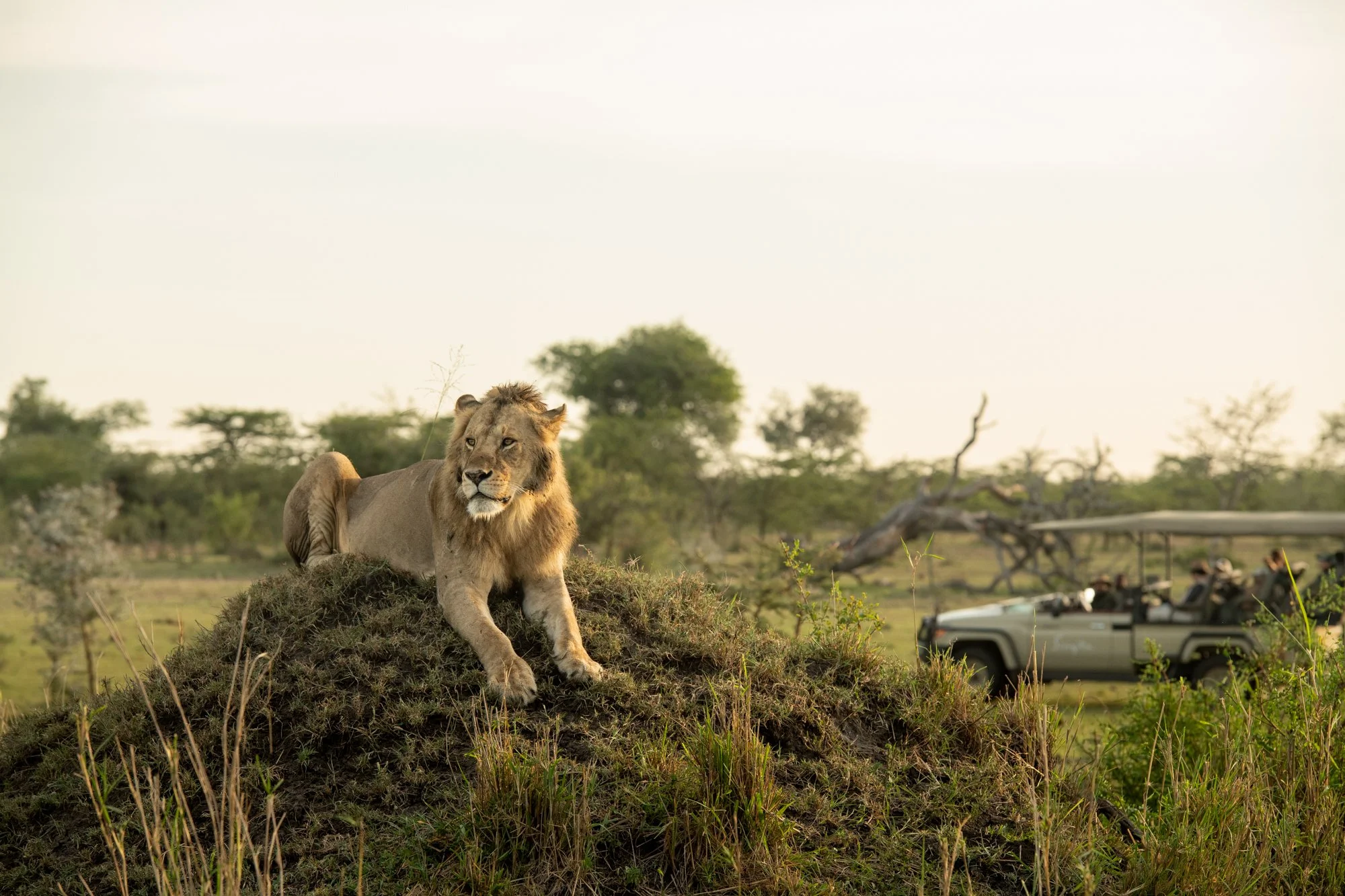 CLASSIC EAST AFRICA SAFARI – THE ULTIMATE LIFETIME JOURNEY From £3,499 pp