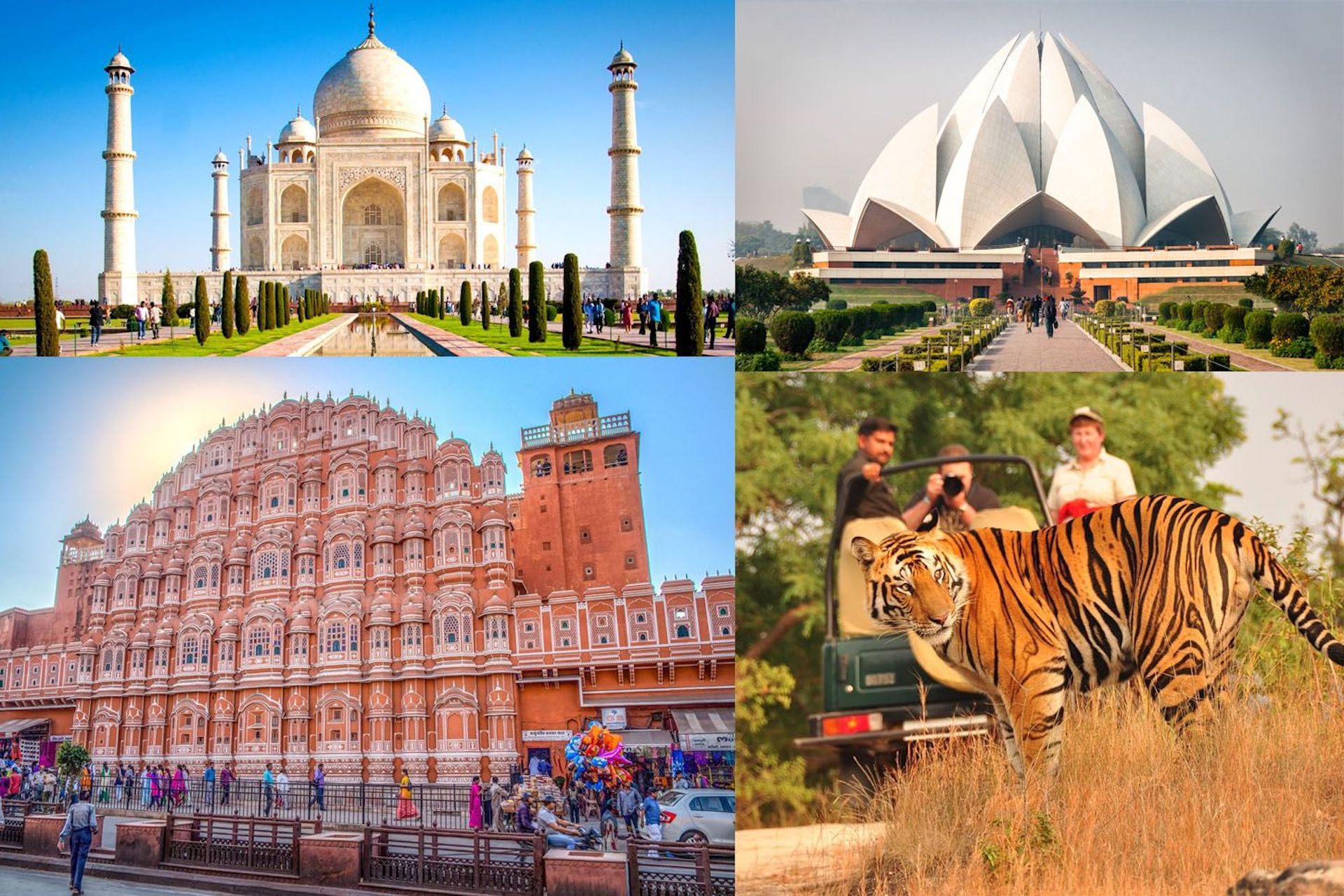 2 Weeks in India | Golden Triangle, Tigers & Kerala Bliss | From £1499pp (Peak Season – Feb 2026)