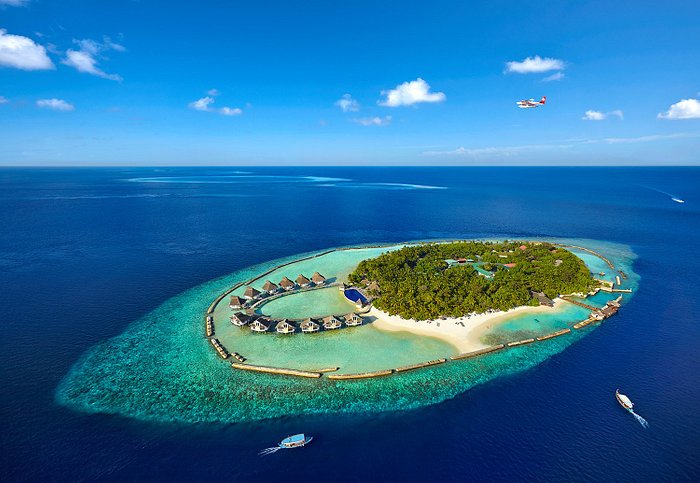 Get Early Booking Discount for 2025: Dive into Tranquility with a 07 Nights Water Bungalow Stay at Ellaidhoo Maldives by Cinnamon All Inclusive W/flight & Transfers 2499pp