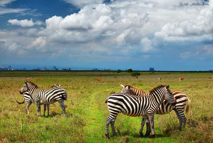 10 Nights Of Exquisite Luxury At Sarova Panafric Nairobi, Neptune Mara Rianta Luxury Camp & Siyam World Maldives