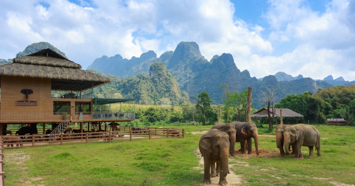 12 Nights Holiday At Phuket, Elephant Hills & Phi Phi Island With Breakfast