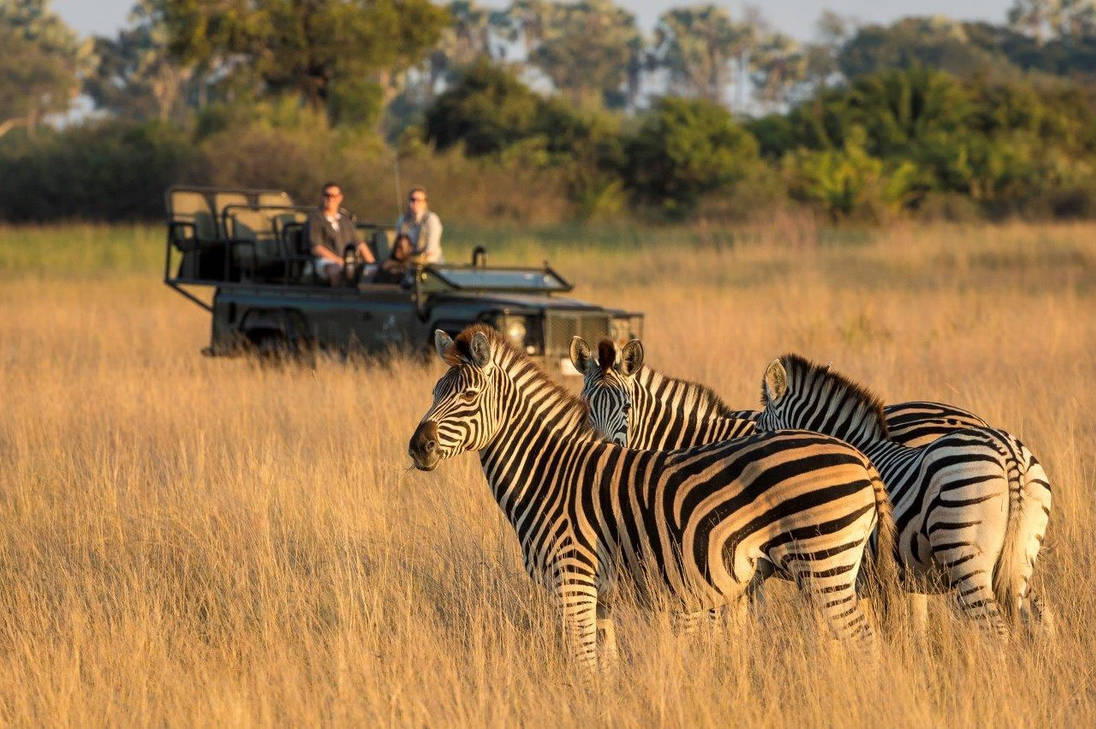 Okavango Delta, Victoria Falls & Botswana Highlights – The Greatest Safari on Earth from £2499pp!