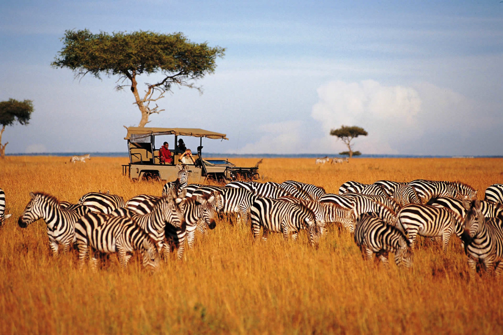 11 Nights Masai Mara Safaris Without Surprises + Seychelles Bliss, Starting from £ 2449pp