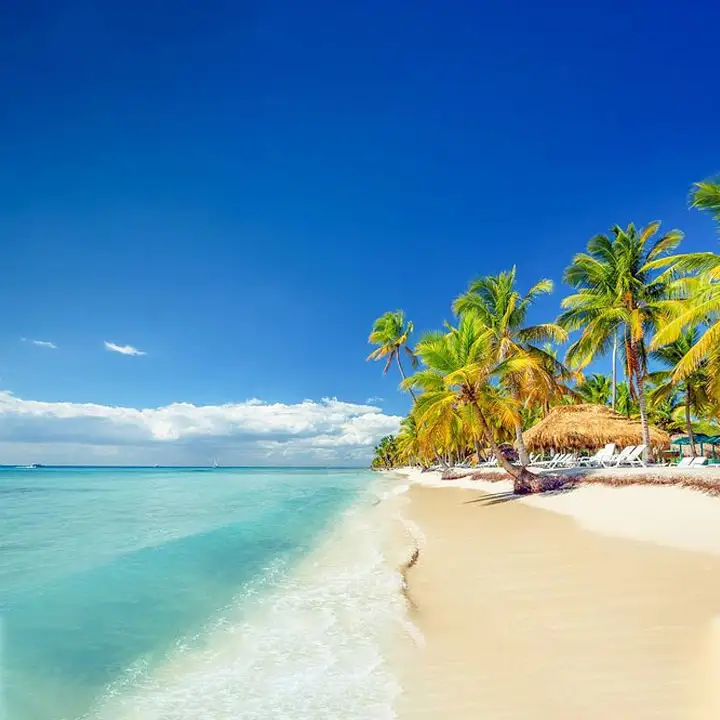 4. Enjoy a full day Surfing at the Macao Beach