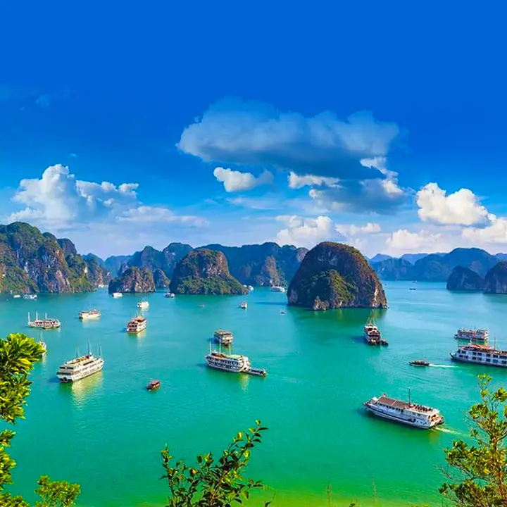 Things to Do in Vietnam