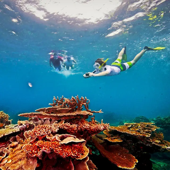 Things to Do in Australia