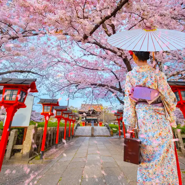 Things to Do in Japan