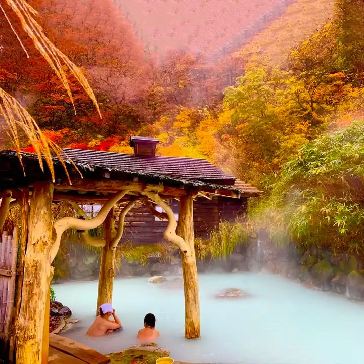 2. Take a Look at History at Ancient Temples & Shrines in Kyoto