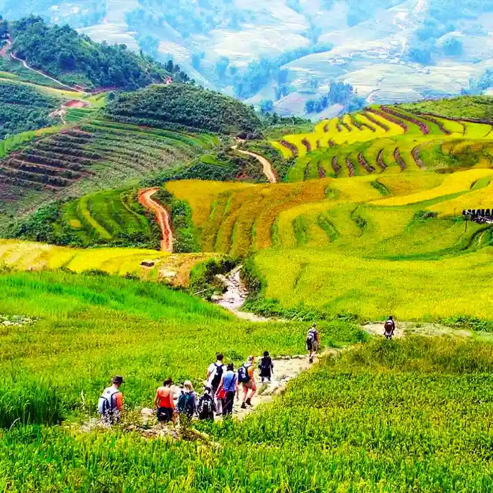 3. Wander Across the Exquisite Streets of Hanoi