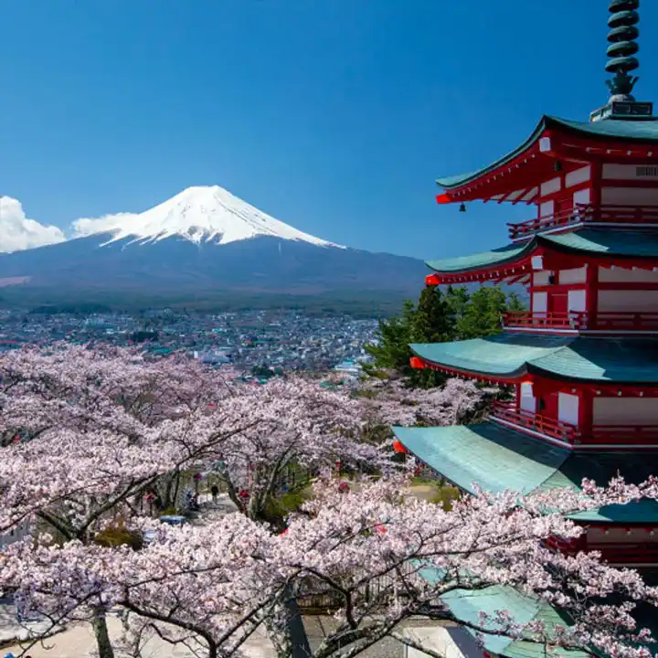 6. Try Out the Famous Japanese Cuisine