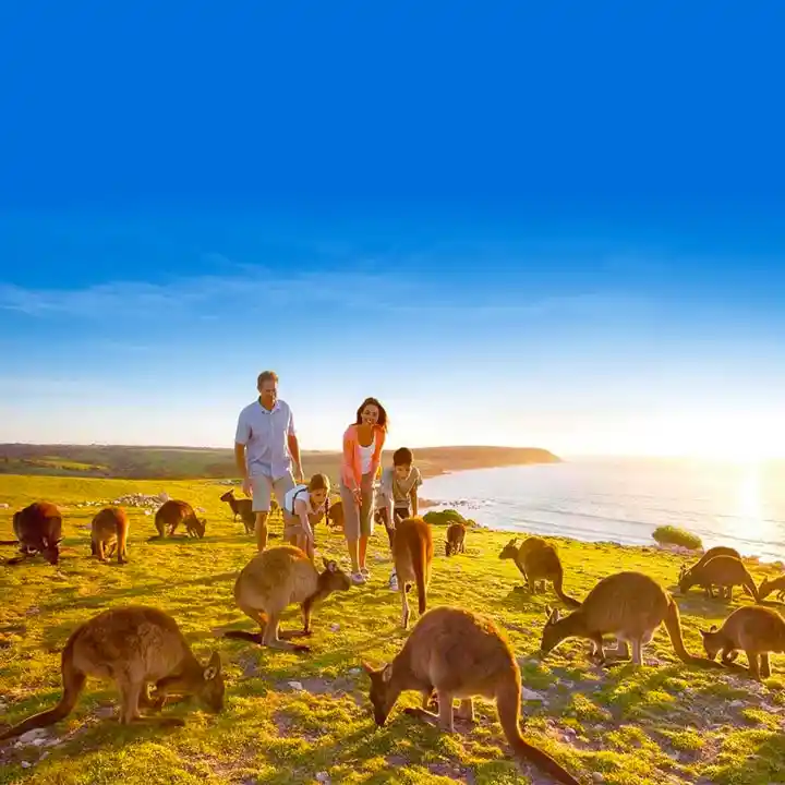 7. Experience the Daintree Rainforest