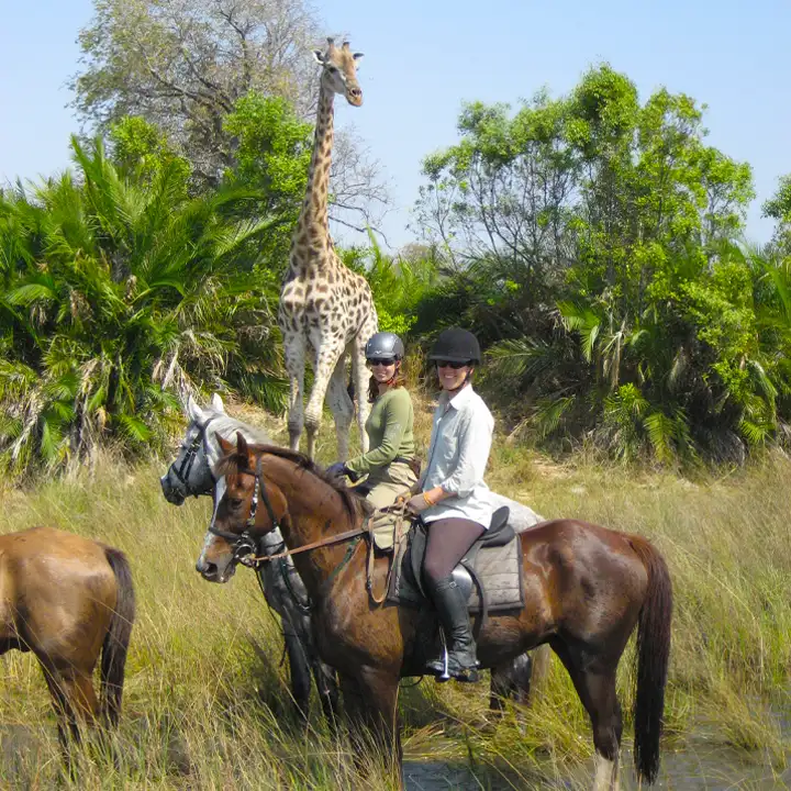 8. Choose Horseback Safaris for Maximum Exploration