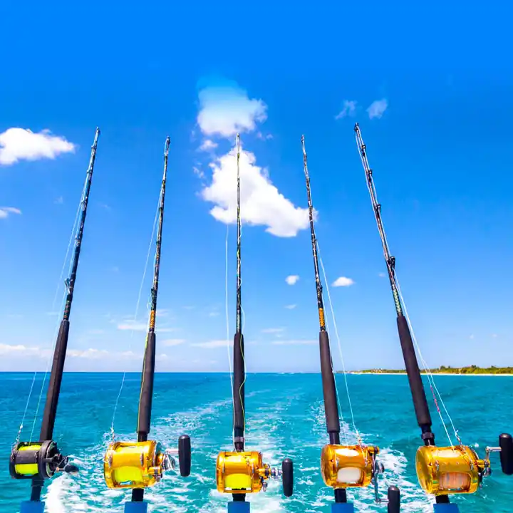 Deep-Sea Fishing Excursions